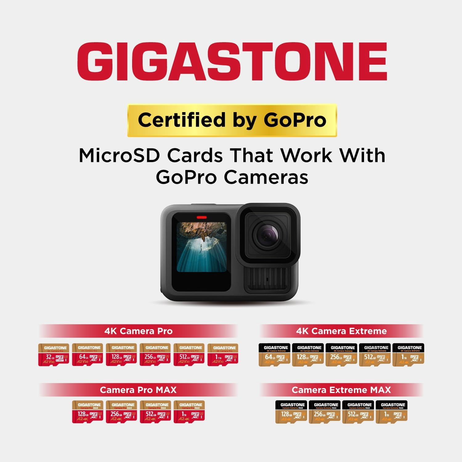 Gigastone 128GB Micro SD Card, 4K Video Recording, 4K Camera Pro, compatible with Nintendo Switch, Dash Cam, GoPro Cameras, R/W up to 100/50 MB/s, Micro SDXC UHS-I A1 V30 Class 10, 2 Pack (2x128GB)