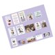 thumbnail image 4 of Pegatinas de papel autoadhesivas con bonitos patrones de animales para álbumes de recortes, fáciles de despegar, para diarios, cuadernos, 4 of 10