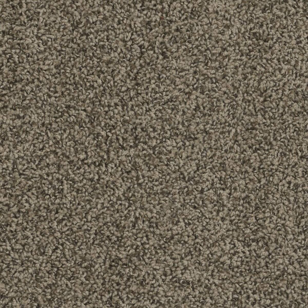 11' x 12' Speckled Agate Soft and Cozy Solution Dyed Polyester Area Rugs and Runners (Color: Agate)