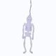 thumbnail image 1 of String Lights Skeleton Lantern Wansheng Light String -8 Pies 20Led Skeleton Wansheng Light Decorative Rare Wansheng Light, Adecuado para Patio de Fiesta en Interiores Y Exteriores, 1 of 9