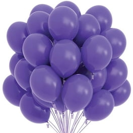 Purple and Silver Party Decorations for Women Adults Happy Birthday  Backdrop Balloon Garland Kit, Violet Lavender 30th 40th 50th 60th Birthday  Decorations 73Pcs 