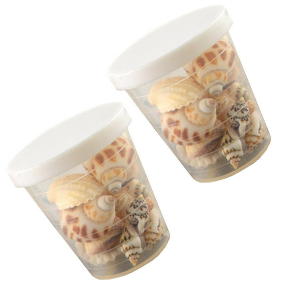 LEEYNEER 2 Boîtes Déco Poisson Coquille de Conque Décorations Vibrantes Coquillages