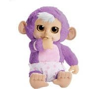 Animal Babies Baby Monkey