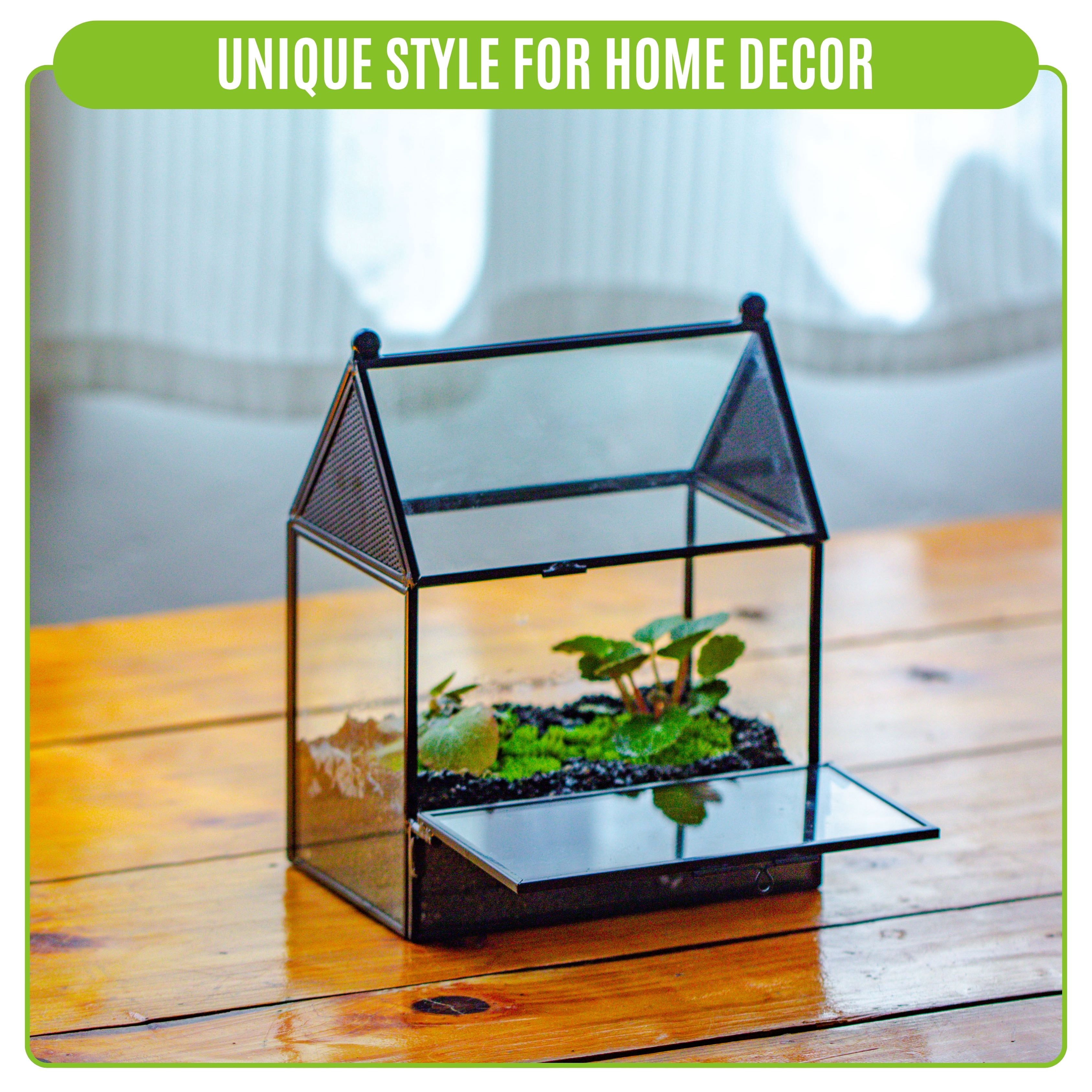 NCYP Glass Enclosure with Vent Holes for Insect, Spiders - 5.8'' x 3.8'' x 6.8'', Small Closed Front Opening Door Succulent Terarium - House Shape Habitat, Home Decor Black (No Plants)