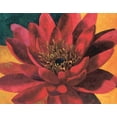 thumbnail image 2 of Torrontegui, Maria 32x26 White Modern Wood Framed Museum Art Print Titled - Red Water Lily, 2 of 4