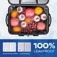 thumbnail image 3 of Cooler Maelstrom Soft Sided 22 L, color gris a prueba de fugas, 3 of 7