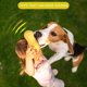 thumbnail image 4 of Promotion!Maojin Juguetes con sonido simulado Serie vegetal Juguetes para perros, 4 of 6