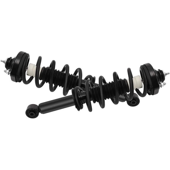 ECCPP 2pcs Rear Pair Complete Strut Assembly Shock Absorber for 2011 2012 2013 2014 2015 2016 2017 2018 2019 for Dodge Journey