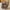 Coffee(Padded Sole), variant on BERANMEY Comfy Slippers for Women Memory Foam House Bedroom Shoes Corduroy Bow Crossbands Slide Slipper Shoes Open Toe Slip On Sole Slippers SoftTrendy Gift Slippers