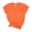 Orange, variant on 250 Anniversary USA Shirt, 250 Years American Independence Tee Women and Men