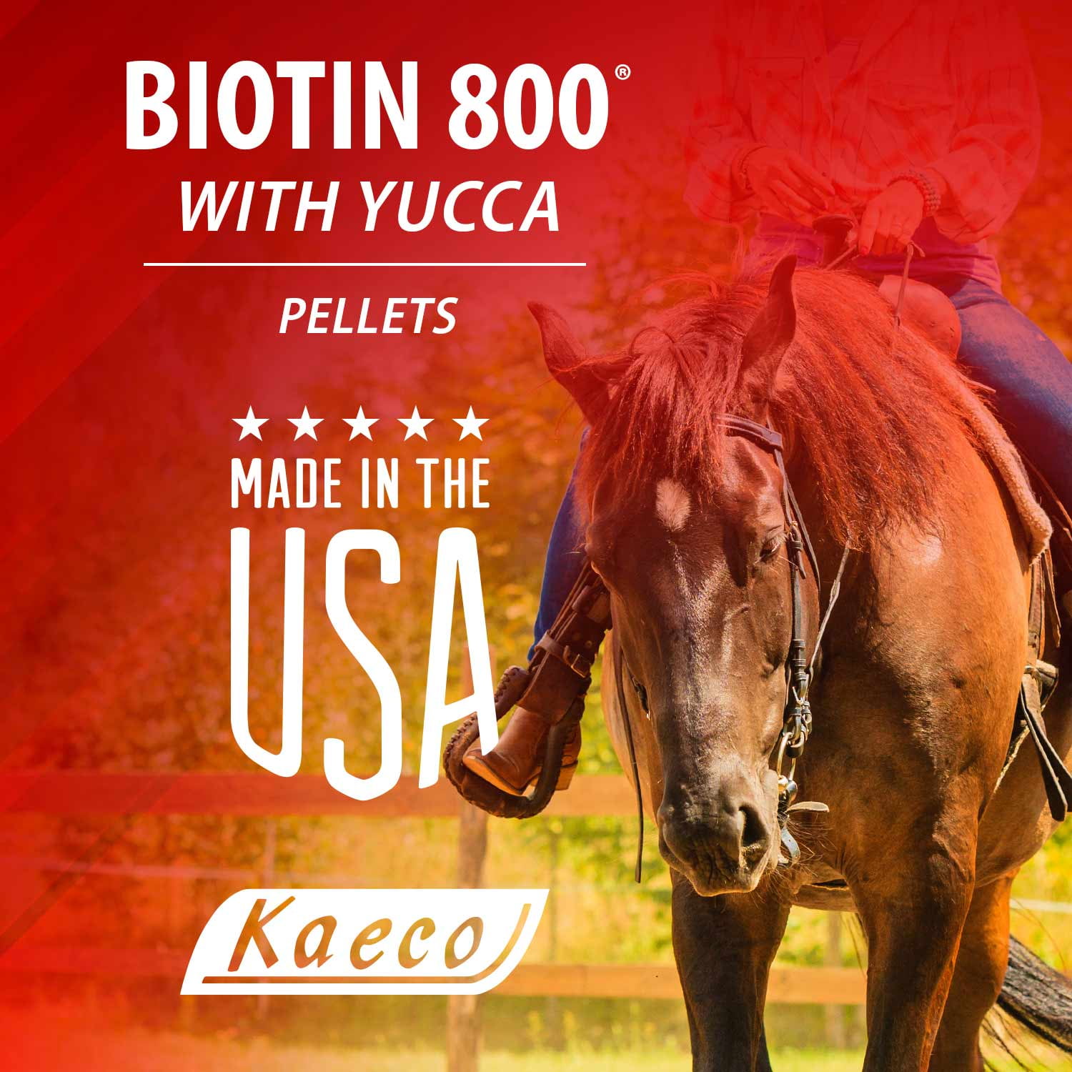 Kaeco Biotin 800 Pellets - 6 lb