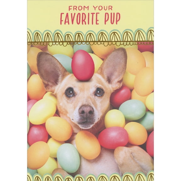 Designer Greetings Dog Covered with Easter Eggs with One Egg Balancing on Head Funny Easter Card from the Dog