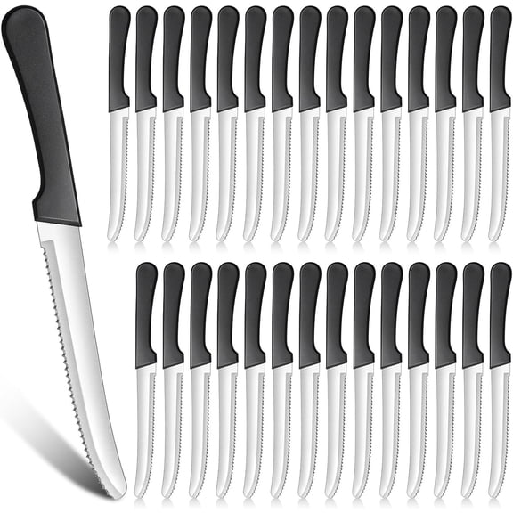 30 Pack Serrated Steak Knives, Stainless Steel, 8.4 in, Restaurant