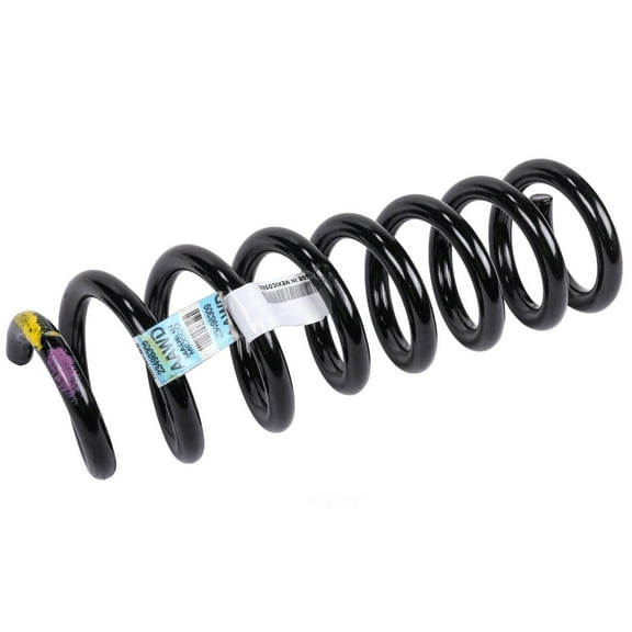 GM 23498309 Coil Spring