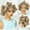 27/613, variant on Sedittyhair Bantu Knotless Braids Wig Full Lace With Baby Hair African Braiding Hair for Women Synthetic Full Lace Braided Wig Buns Wig (1B Color)