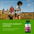thumbnail image 6 of Swanson Avocado Soy AvoVida Maximum Strength ASU Supplement for Joints 300 mg 60 Capsules, 6 of 7