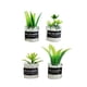 thumbnail image 4 of Plantas en miniatura para casa de muñecas, modelo de adorno, juguete de simulación, plantas diminutas, escala 1/12 Estilo A, 4 of 9