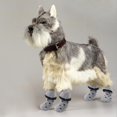 thumbnail image 2 of Calcetines Antideslizantes Zulema para Perro y Gato Negro S M L XL, 2 of 8
