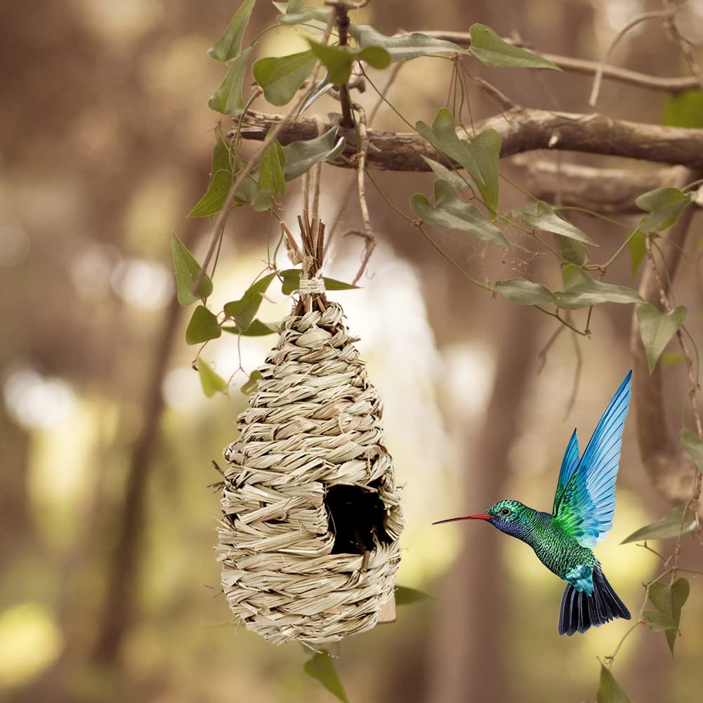 Hanging Hummingbird Nest