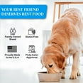 thumbnail image 4 of Healthy Dogma - Fish Dinner PetMix | Dehydrated Dog Food with Wild-Caught Alaskan Salmon & Whitefish – Grain-Free, Clean Ingredient Dog Food, No Preservatives 2lbs, 4 of 7