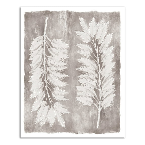 Creative Products Soft Pampas Grass 24 x 30 Canvas Wall Art