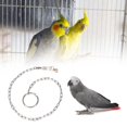thumbnail image 4 of Stainless Steel Pet Birds Parrot Foot Chain Anklet Training Harness  (Psittacula eupatria), 4 of 8