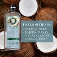 thumbnail image 3 of Shampoo Herbal Essences Hidrata Agua de Coco & Jazmín 600 ml, 3 of 5