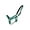 Teal, variant on Neoprene Lined 3-Ply Nylon Halter (Black)