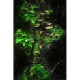 thumbnail image 3 of Damsten, Petri 13x18 Black Modern Framed Museum Art Print Titled - Mushroom Wall, 3 of 5