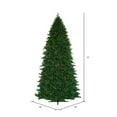thumbnail image 3 of Vickerman 15' Grand Teton Artificial Christmas Tree, Single Mold Warm White LED Lights, 3 of 4