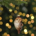 thumbnail image 2 of Northlight 4.5" Brown and White Glass Owl Christmas Ornament, 2 of 5