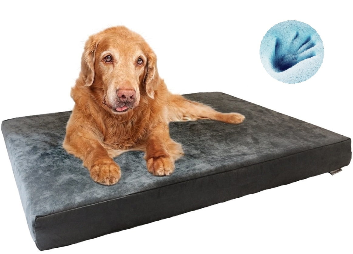 treat a dog bed washing instructions