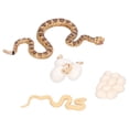 thumbnail image 4 of Snake Life Cycle Stages Figures, Rattlesnake Growth Cycle 4pcs  For   Themed Party Favors For Kids Education, 4 of 8
