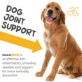 thumbnail image 4 of maxxiSAMe Advanced SAM-e Powder Supplement - Liver, Cognitive & Joint Support for Dogs, 5.3oz, 4 of 9