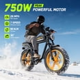 thumbnail image 4 of HOVSCO Electric Bike for Adults, 750W Motor, 60 Miles Range, 20'' Fat Tire E-Mountain Bike, 7-Speed E-Bike with Full Suspension UL2849, 4 of 8