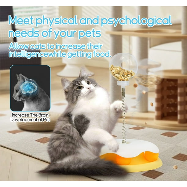 Juguetes para gatos con pista de bolas circulares en