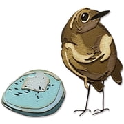 Sizzix Thinlits Dies By Tim Holtz - Bird & Egg Colorize, 11PK