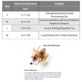 thumbnail image 3 of HQREA Puppy Hats with Ear Hole Adjustable Kitten Sun Visor Cap for Outdoor Sport, 3 of 5