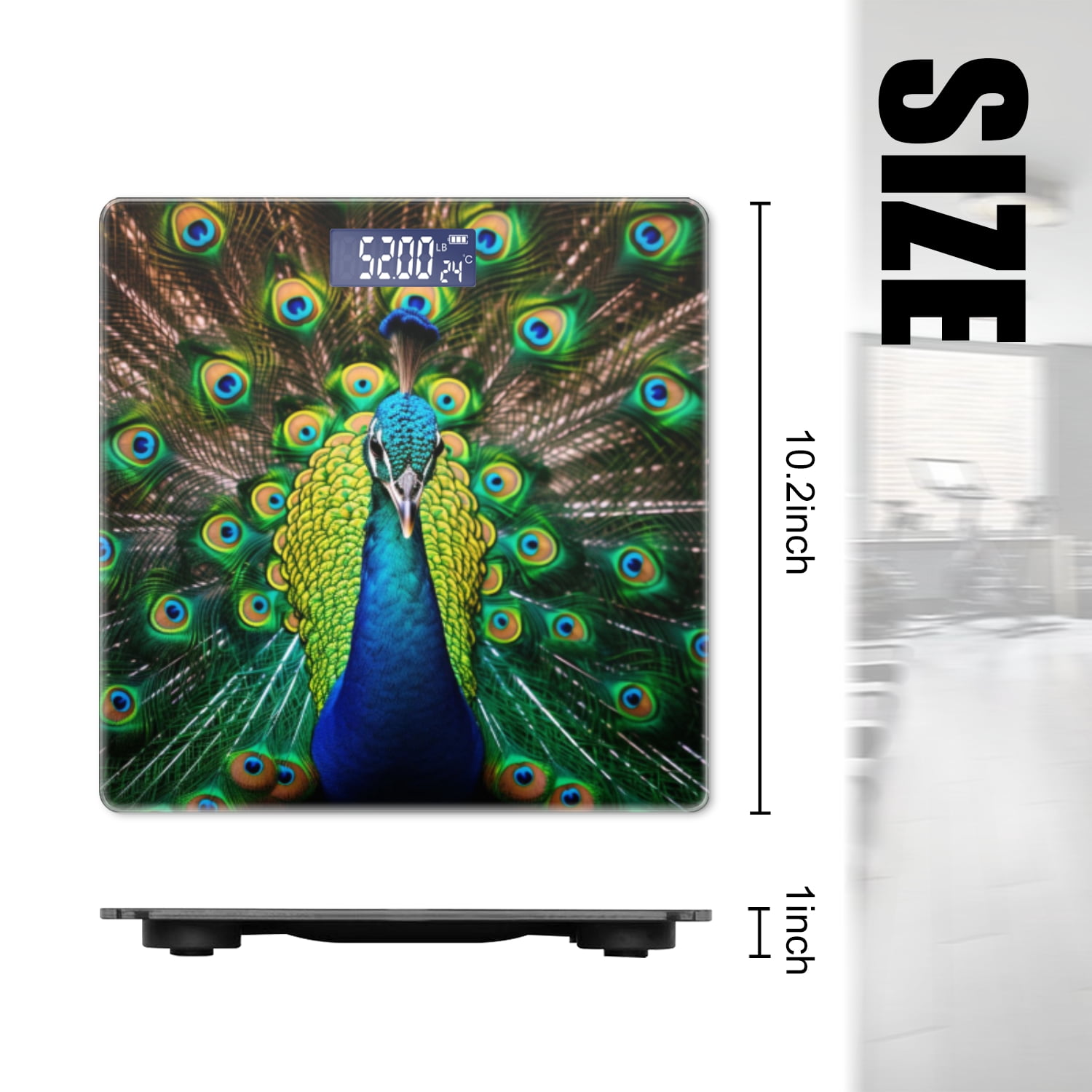 Bathroom Scale, Highly Accurate Digital Body Scale,Precisely Measures Weight up to 400 lbs-Majestic Peacock Displaying Feathers Of Green And Blue Showing
