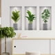 thumbnail image 2 of Calcomanías de pared autoadhesivas duraderas con diseño de plantas para despegar y pegar, para una decoración del hogar sin esfuerzo (paquete de 3), 2 of 4