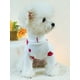 thumbnail image 1 of Valentine's Day 1pc Pink Pet Clothes High Collar Warm Casual Style Two Feet Jumpsuit Heart Patterned T-Shirt Suitable For Small And Medium-Sized Dogs,, 1 of 4