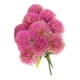 thumbnail image 1 of Injueey 10 Uds simulación de flores de plástico Taraxacum para decoración del hogar el plástico es resistente y duradero Decoración rosa, 1 of 6