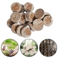thumbnail image 3 of Nutritious Soil Compressed Non-Woven Fabric Coconut Coir Soil Medium Turf Garden, 3 of 6