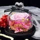 thumbnail image 4 of Decoración de flores eternas rosa con fondo de musgo amor cubierta de vidrio flores secas regalos navideños Regalos de cumpleaños para familiares y amigos, 4 of 5