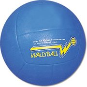Official Wallyball Volleyball