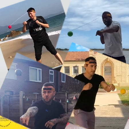 YMX BOXING® Ultimate Reflex Ball Set with Counter App - Great for Reflex, Timing, Accuracy, Focus & Coordination Training for Boxing, MMA and Krav Mega