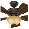 Fan 34 inch New Bronze Finish Ceiling Fan with TeaStain Glass Bowl