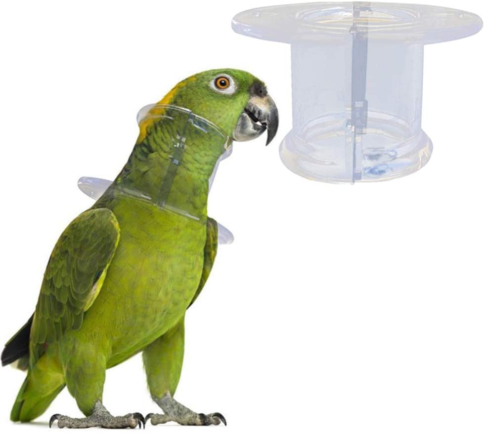 bird cone collar