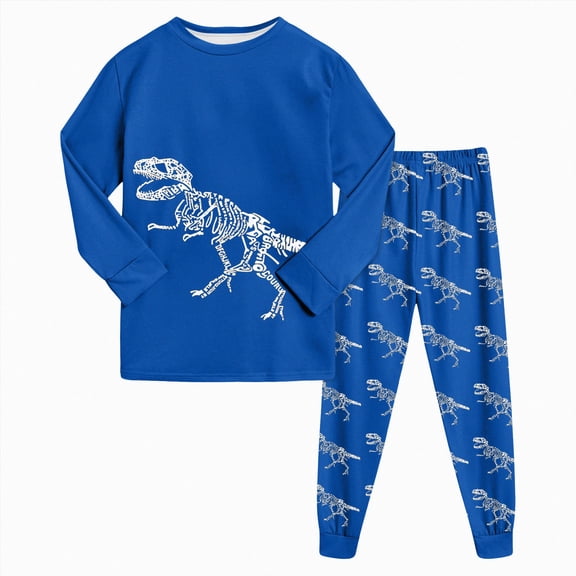 Splozh Boys Night Clothes Boys and Girls Pajama Set Long Pants Regular Long Sleeved Round Neck Cartoon Printed Two Piece Pajama,Blue,4-5 Years