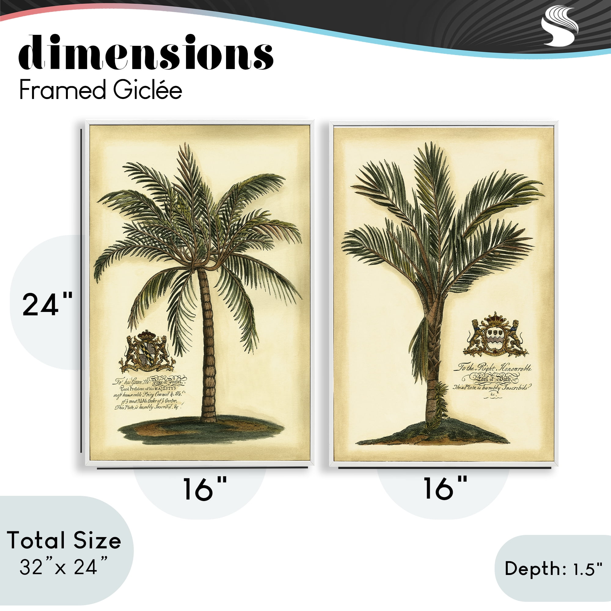 Stupell Industries Vintage Historical Palms 2 Piece White Framed Giclee Art Set, design by Vision Studio